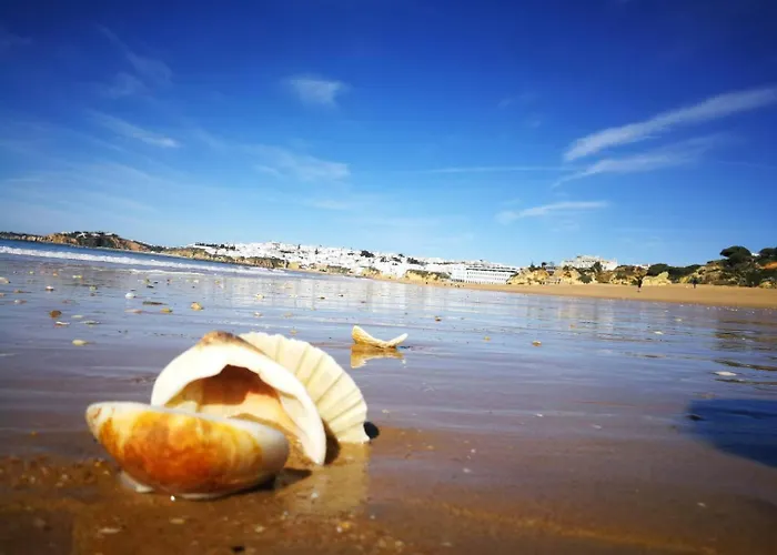 아파트 Go4portugal - Vilamagna - Luxe With Pool, Airco And Seaview Balcony